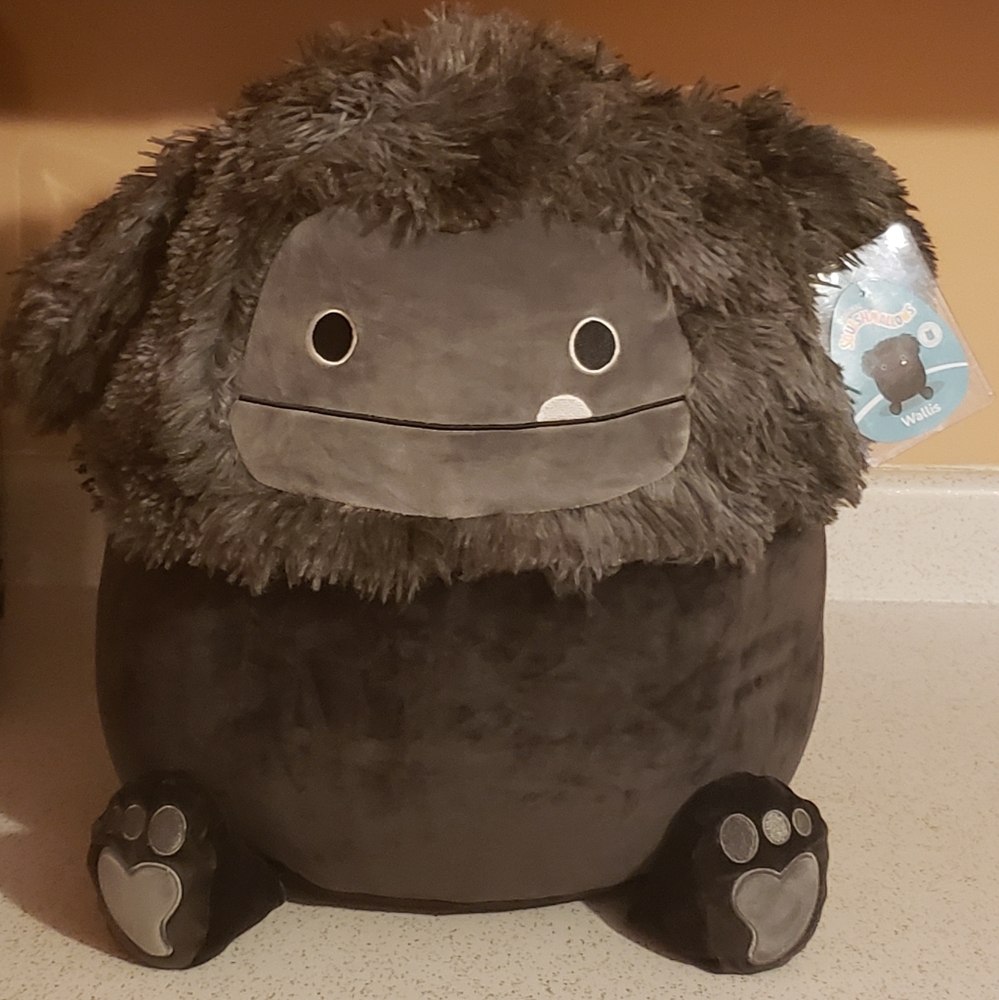 Wallis the Black Bigfoot Squishmallow 16”